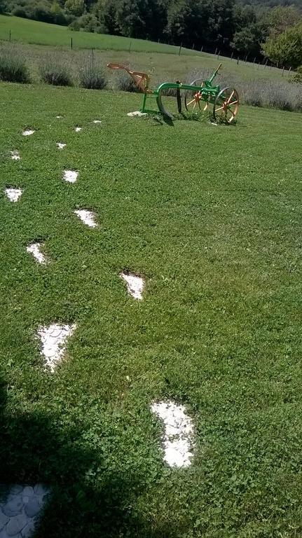 Hotel Agroturism Stara Stala Borut Zewnętrze zdjęcie
