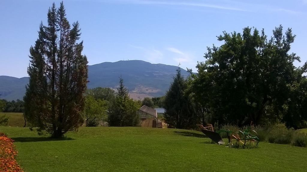 Hotel Agroturism Stara Stala Borut Zewnętrze zdjęcie