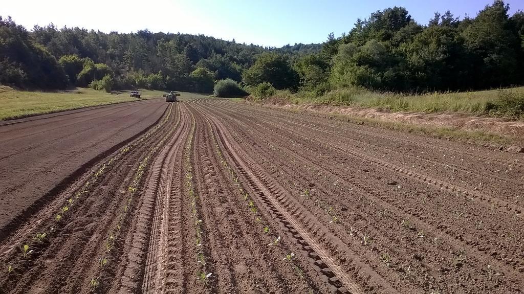 Hotel Agroturism Stara Stala Borut Zewnętrze zdjęcie