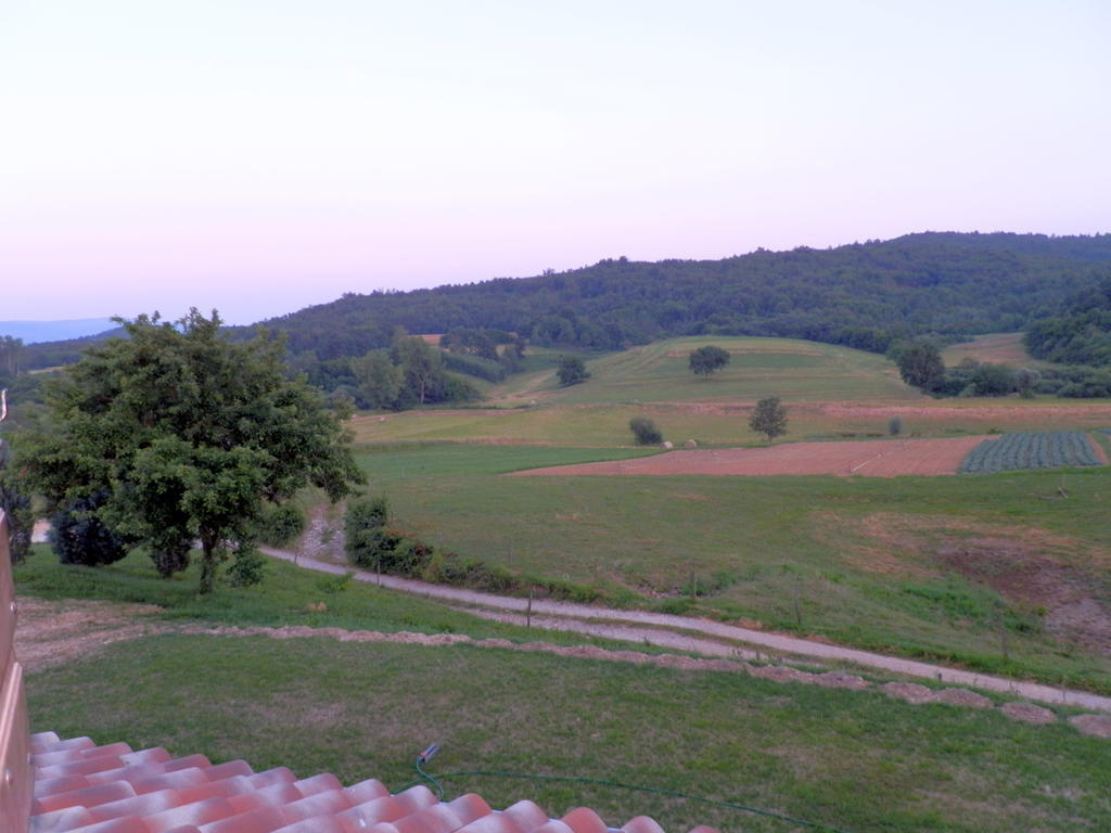 Hotel Agroturism Stara Stala Borut Pokój zdjęcie