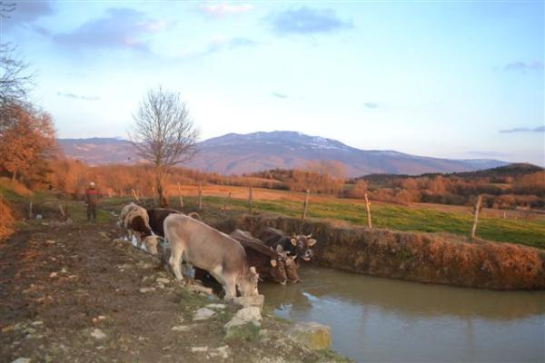 Hotel Agroturism Stara Stala Borut Zewnętrze zdjęcie